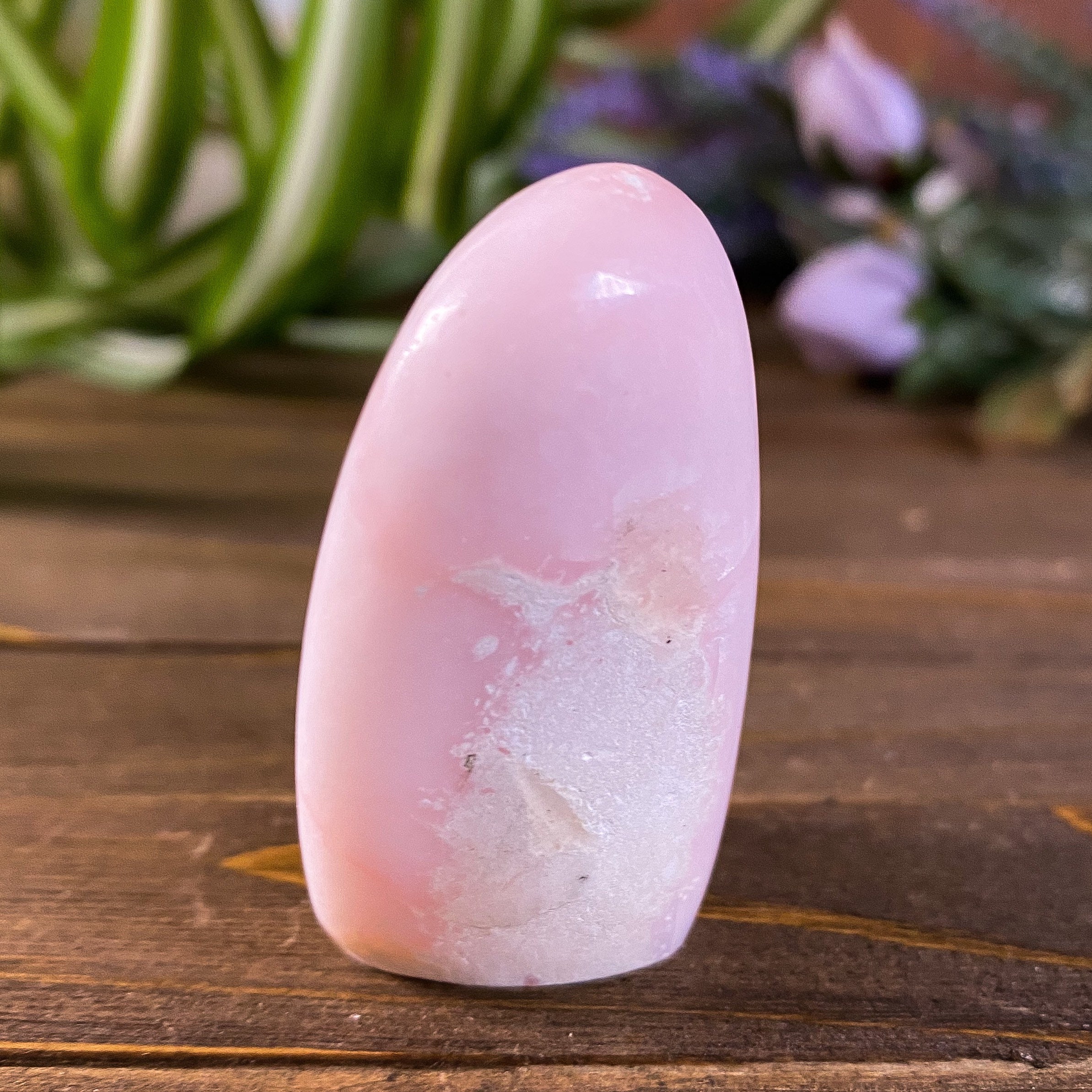 TOMWOOD Cushion Pink Opal (M) 62 アクセサリー
