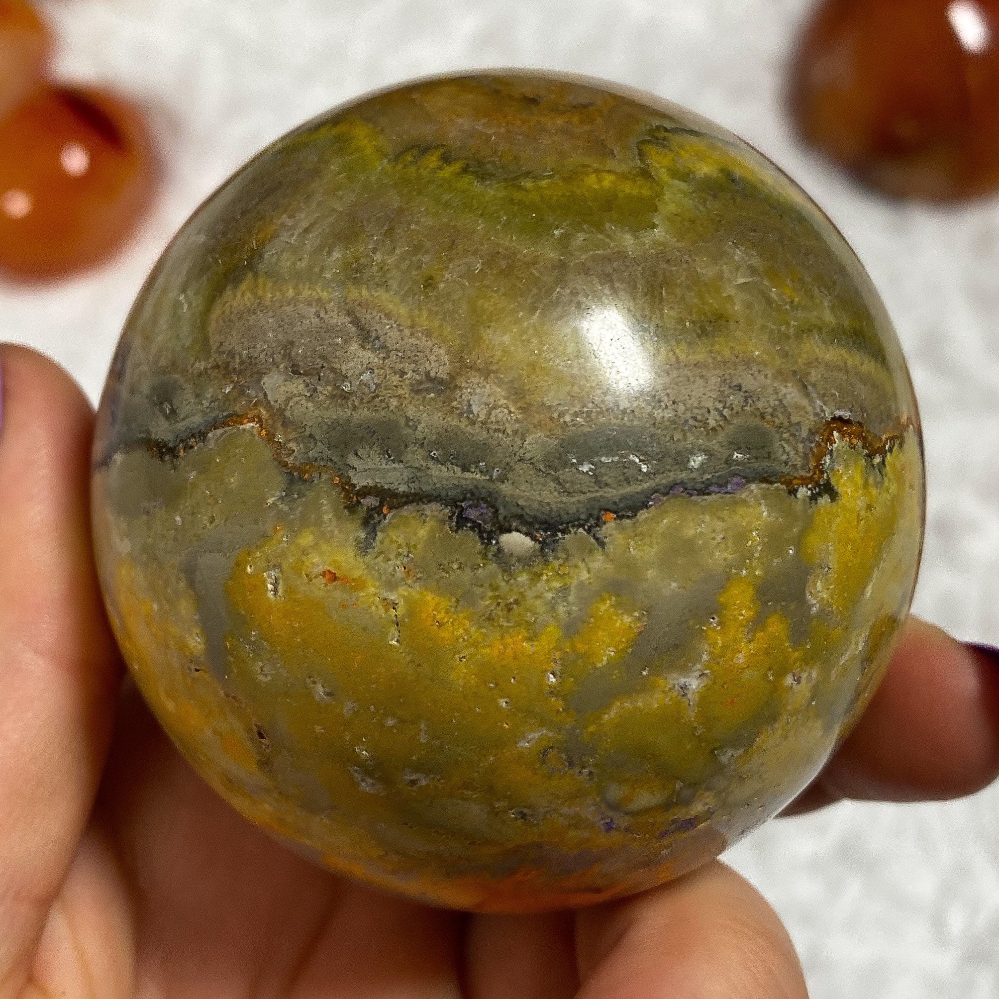 bumble bee jasper bumble bee jasper