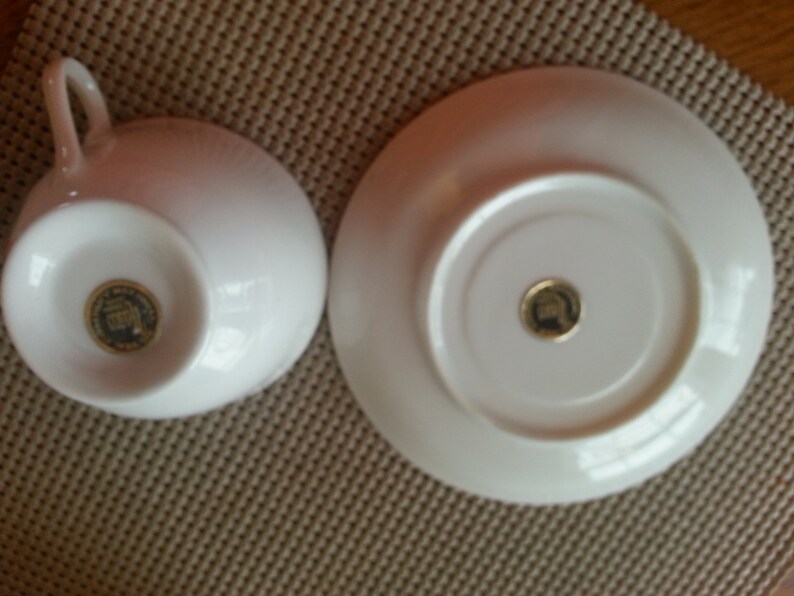 Vintage Nasco China Tea Cup and Saucer Set, Hand Painted, From Japan