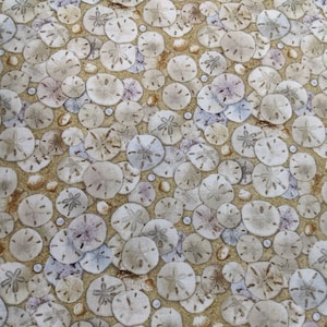 Sand Dollars in the Sand - high quality quilting Cotton from the bolt
