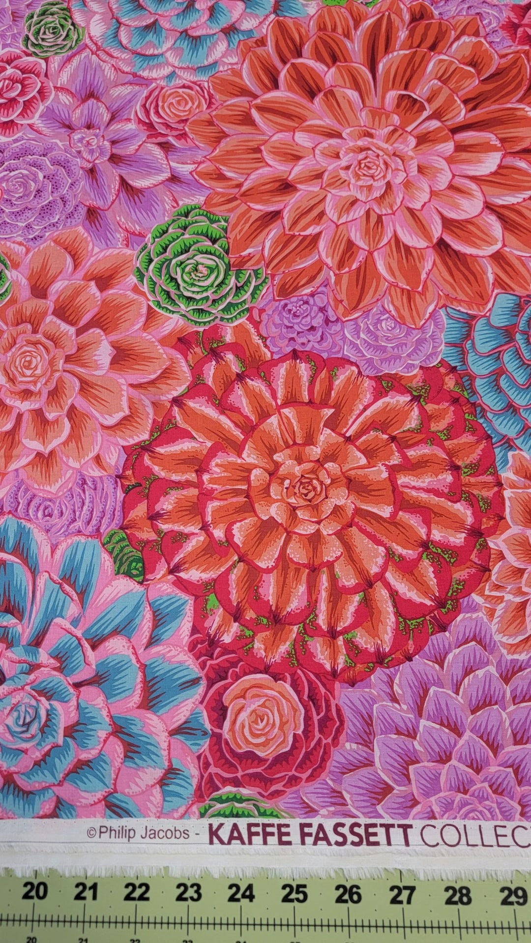 House Leeks Pink - Feb 2025 - by Philip Jacobs for the Kaffe Fassett ...