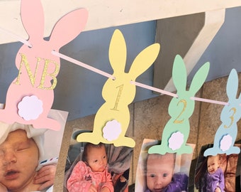 Some Bunny is One Banner - Some Bunny Birthday - Some Bunny Decorations - Some Bunny Banner - Bunny Birthday - Bunny Decorations