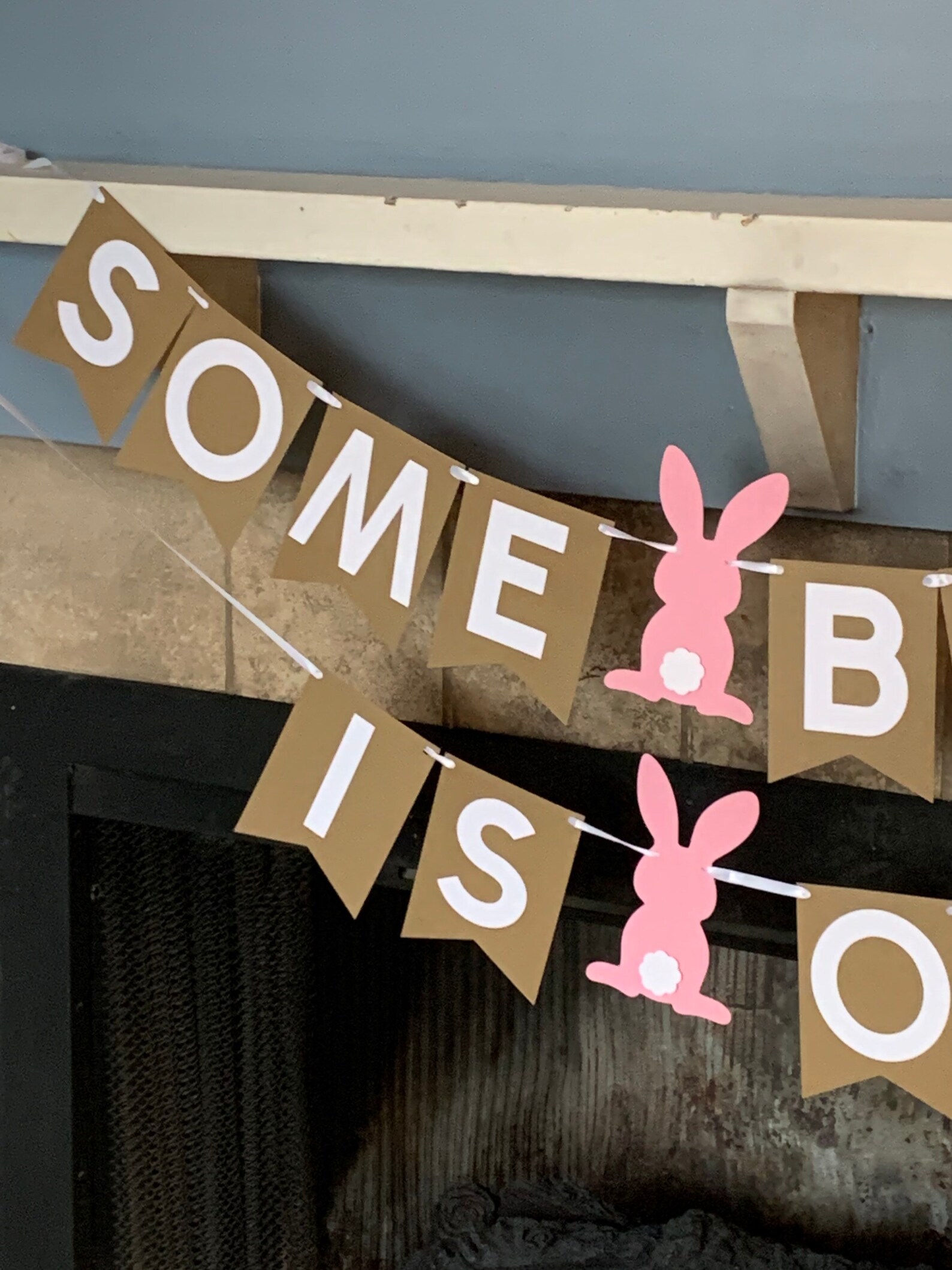 Some Bunny is One Banner - Some Bunny is Two Banner - Some Bunny ...