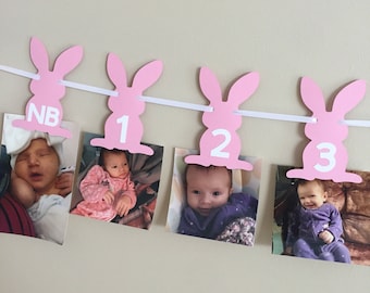 Some Bunny is One Banner - Some Bunny Birthday - Some Bunny Decorations - Some Bunny Banner - Bunny Birthday - Bunny Decorations
