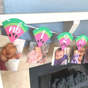 Watermelon Photo Banner  - One in a Melon Banner - Watermelon Birthday Banner - watermelon first birthday decorations - watermelon party