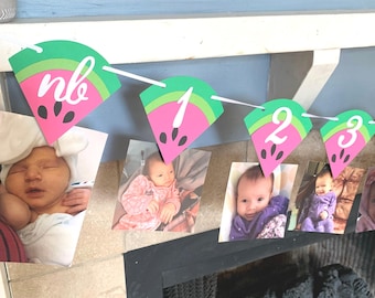 Banner fotográfico de sandía - Banner "Uno en un melón" - Banner de cumpleaños de sandía - Decoraciones de primer cumpleaños de sandía - Fiesta de sandía