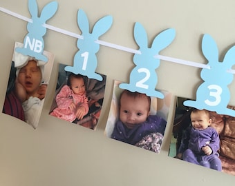 Some Bunny is One Banner - Some Bunny Birthday - Some Bunny Decorations - Some Bunny Banner - Bunny Birthday - Bunny Decorations