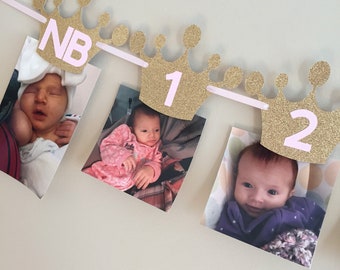 Princess Photo Banner - Princess First Birthday Decor - Princess Birthday Banner - Princess Party Decorations - Princess First birthday