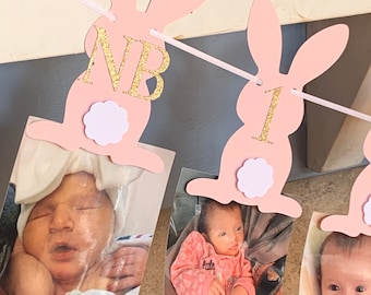 Some Bunny is One Banner, Some Bunny Birthday, Some Bunny Decorations, Some Bunny Banner, Bunny Birthday, Bunny Decorations, Easter Decor