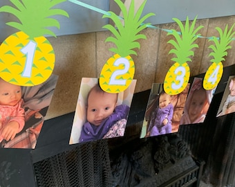Pineapple photo banner BLUE- pineapple birthday decorations- pineapple first birthday- pineapple party decor- hawaiian birthday decor