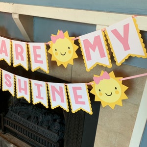 May include: A pink and yellow banner with the words "You Are My Sunshine" and a sun with a bow on each end.