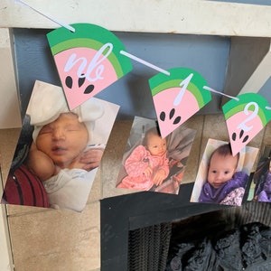 Watermelon Photo Banner  - One in a Melon Banner - Watermelon Birthday Banner - watermelon first birthday decorations - watermelon party