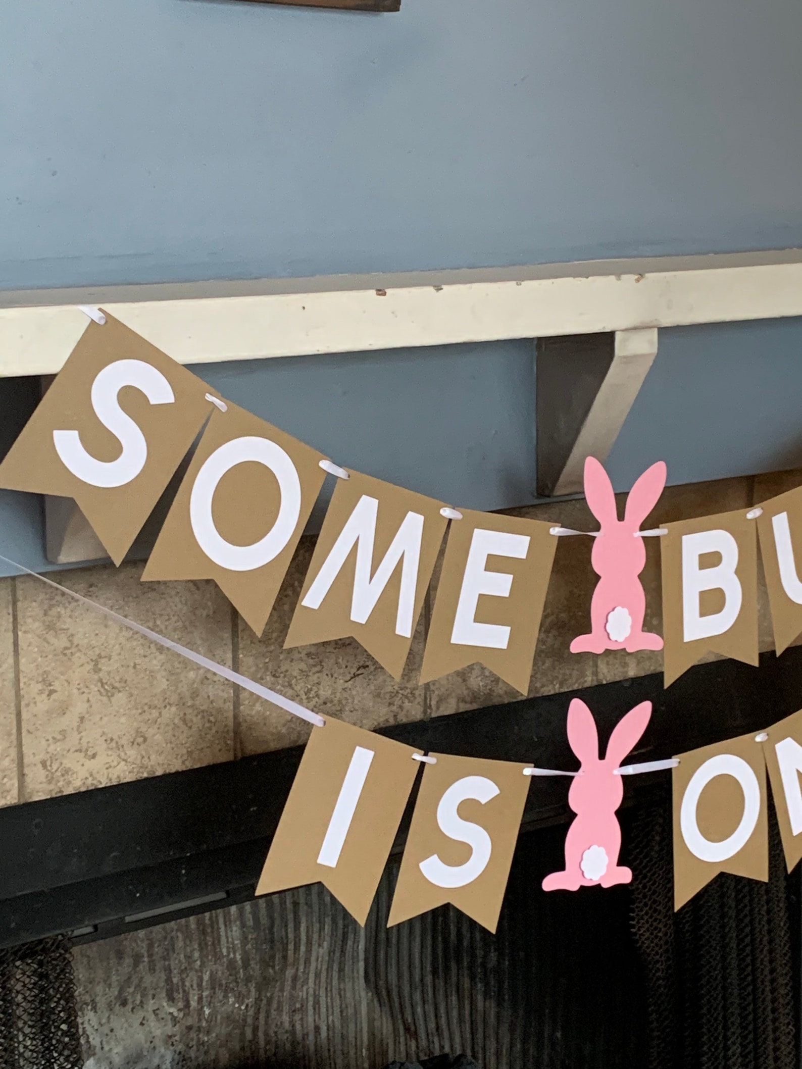 Some Bunny is One Banner - Some Bunny is Two Banner - Some Bunny ...