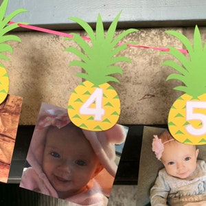 Pineapple photo banner PINK- pineapple birthday decorations- pineapple first birthday- pineapple party decor- hawaiian birthday decor
