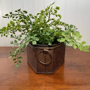 May include: A green leafy plant in a hexagonal copper planter with a ring handle.