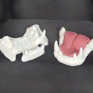 Realistic Fursuit Teeth for Fursuit Base Moving Jaw, Full Resin Fursuit Jawset Realistic Tongue Fursuit Tongue for Furry Suit Full Body  SEO