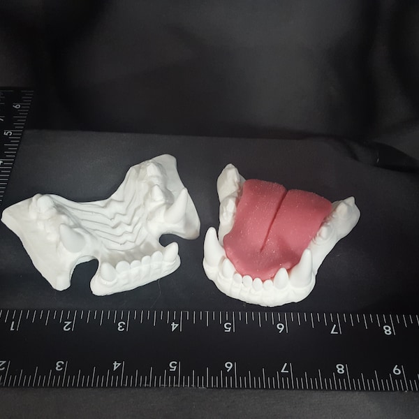 Big Cat Resin Clean Cast Teeth Jawset for Making Cosplay Animal Fursuit Costume Mask Heads of Tiger Lion Puma Leopard Cougar Cheetah Jaguar