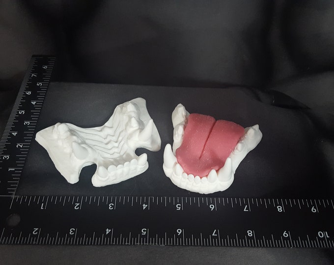 Big Cat Resin Clean Cast Teeth Jawset for Making Cosplay Animal Fursuit Costume Mask Heads of Tiger Lion Puma Leopard Cougar Cheetah Jaguar