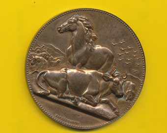 Puede incluir: Una medalla de bronce con un caballo y una vaca en el anverso. La medalla está rodeada por un borde de cuentas. El texto "ALPHASE DUBOIS" está inscrito en la parte inferior de la medalla.