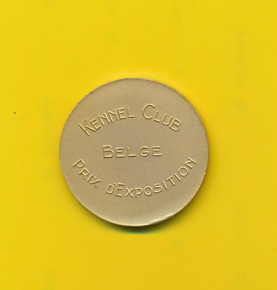 犬を描いた希少なヴィンテージ金銅チャームメダル - セントバーナード犬 - コンテスト (5651)