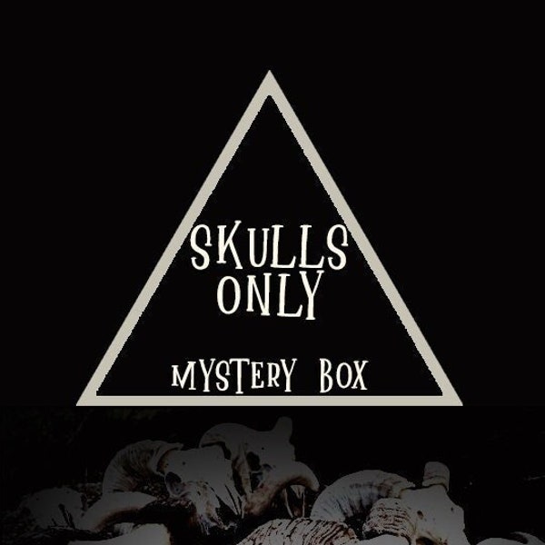 Curiosity Mystery Box , Skull Mystery Box , Vulture Culture Oddity Box , Mystery Box Gift , Animal Skulls & Bones , Curiosity Gift Box