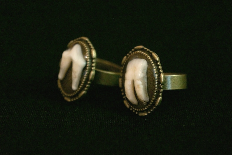 Canine Tooth Ring Gothic Macabre Gift Gothic Ring Goat Tooth Ring Real Animal Molars Creepy Gift Steampunk Jewelry Vet Gift