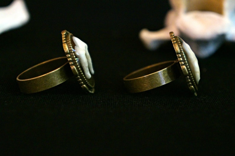 Canine Tooth Ring Gothic Macabre Gift Gothic Ring Goat Tooth Ring Real Animal Molars Creepy Gift Steampunk Jewelry Vet Gift