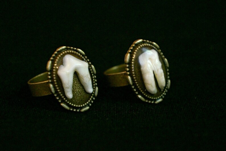 Canine Tooth Ring Gothic Macabre Gift Gothic Ring Goat Tooth Ring Real Animal Molars Creepy Gift Steampunk Jewelry Vet Gift