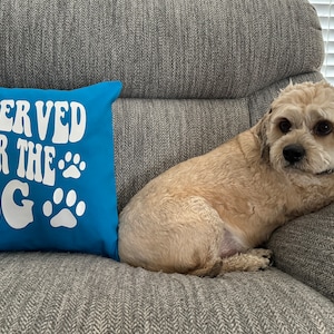 Puede incluir: Un perro pequeño de color marrón claro con un collar blanco está sentado en un sofá gris. El perro está mirando a la cámara. Hay una almohada azul con texto blanco que dice "Reservado para el perro" en el sofá.