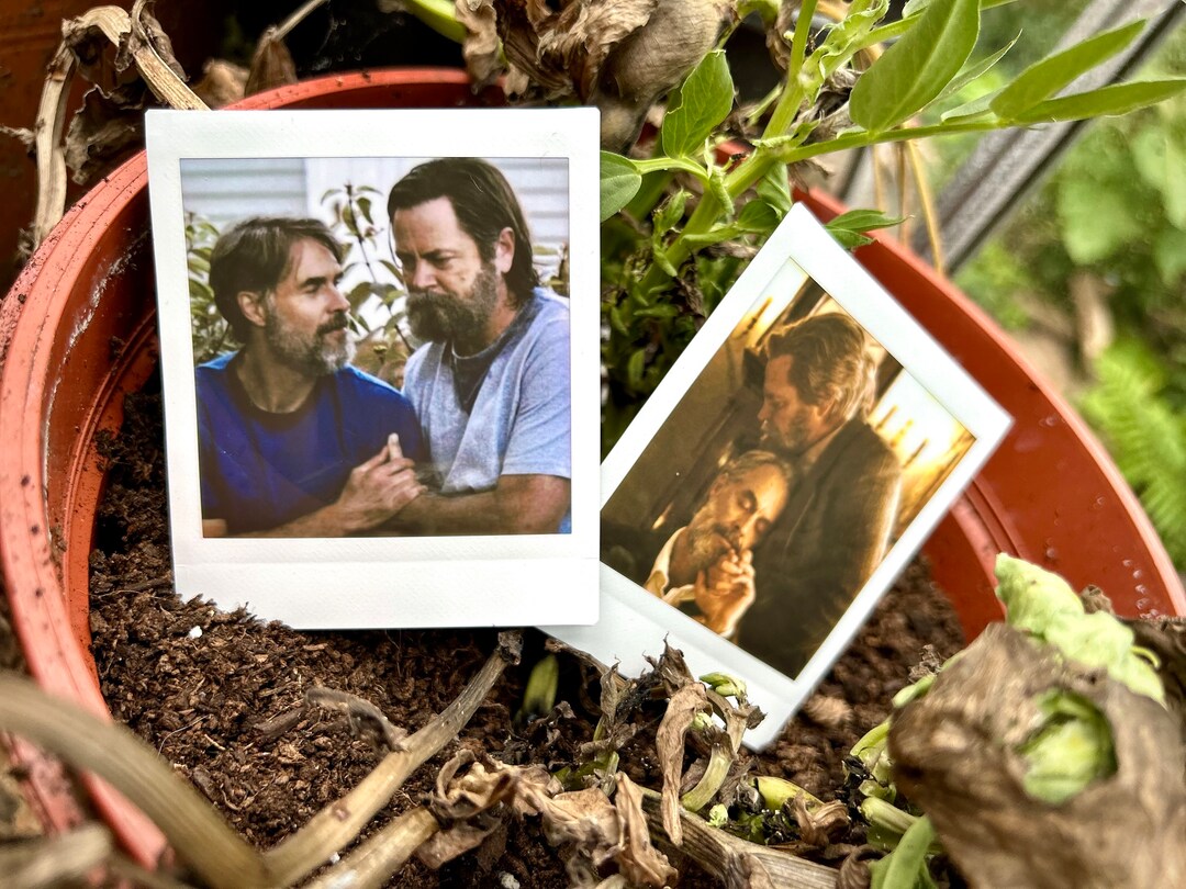 Bill Frank Polaroids