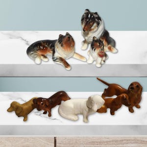 May include: A collection of ceramic dog figurines in various breeds and poses. The figurines include collies in black, white, and brown, and dachshunds in brown and tan. A white dog figurine is also present.