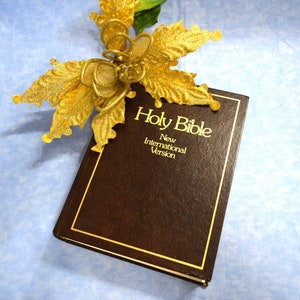 May include: A brown leather-bound Holy Bible with gold lettering on the cover. The title reads "Holy Bible" with "New International Version" underneath. A gold glitter poinsettia is placed on top of the bible.