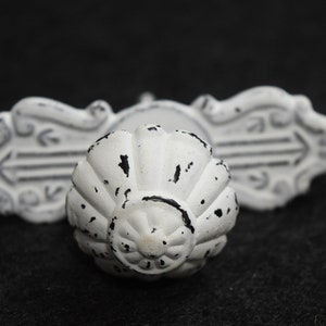 May include: White and black distressed cabinet knob with a scalloped design. The knob has a decorative backplate with a floral pattern.
