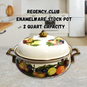 Fruit Enamelware Stock Pot with Lid Regency Club Enamel Pot Brass Double Handle and Lid Knob Stove Top To Table Vintage Colorful Kitchen