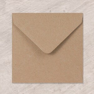 May include: A brown paper envelope with a flap.