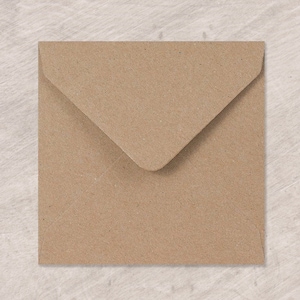 May include: A brown paper envelope with a flap.