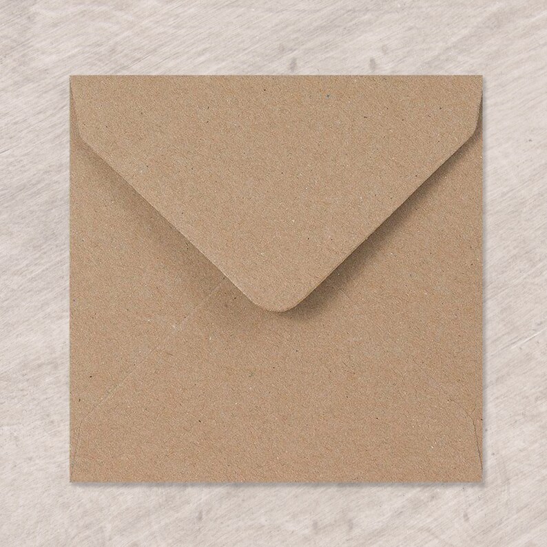May include: A brown paper envelope with a flap.