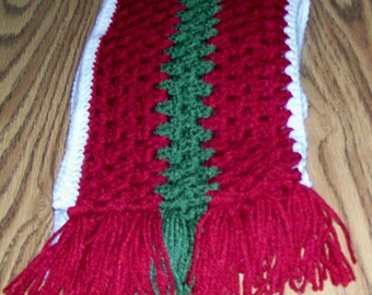 Winter Scarf with Fringe: Handmade, Crochet, Red, Green, and White