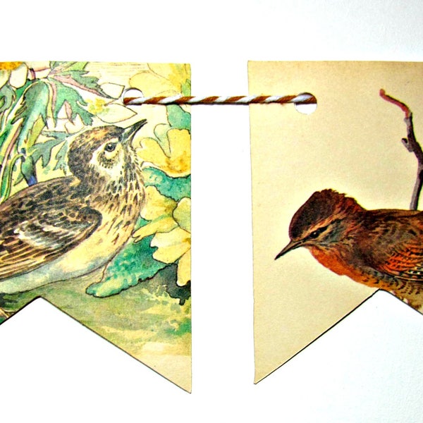 Birds wall decor, Birds decorations, Birds garland, Nature wall decor, Nature wall art,  Bird watcher gift, Birds party flags, Ornithology