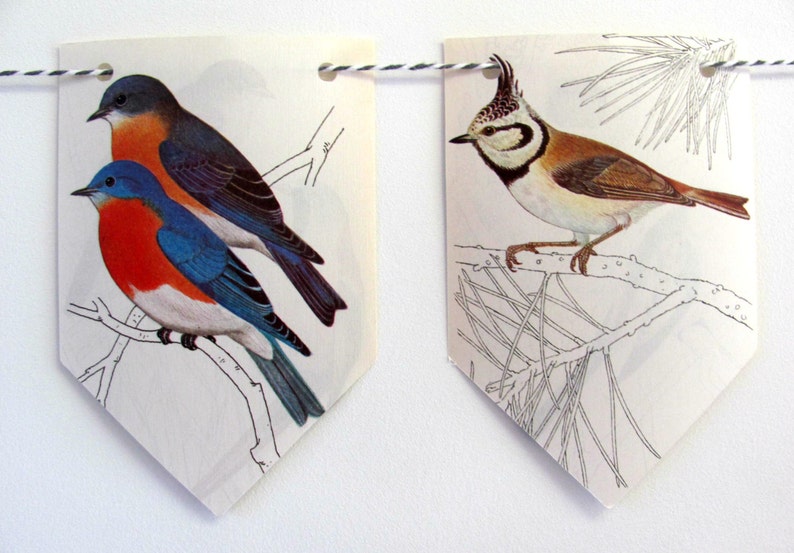 Birds Decor Birds Garland Birds Decorations Birds Party Etsy UK