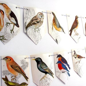 Birds decor, Birds garland, Birds decorations, Birds party decor, Nature decor, Birds paper bunting,  Ornithology, Nature lover gift