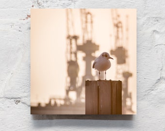 Hamburg on wood - crane seagull