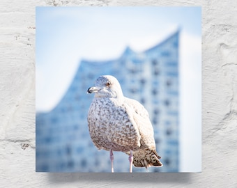 Hambourg sur la mouette en bois