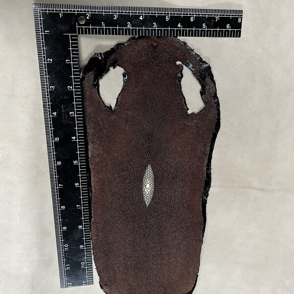 Small stingray leather hide chocolate brown