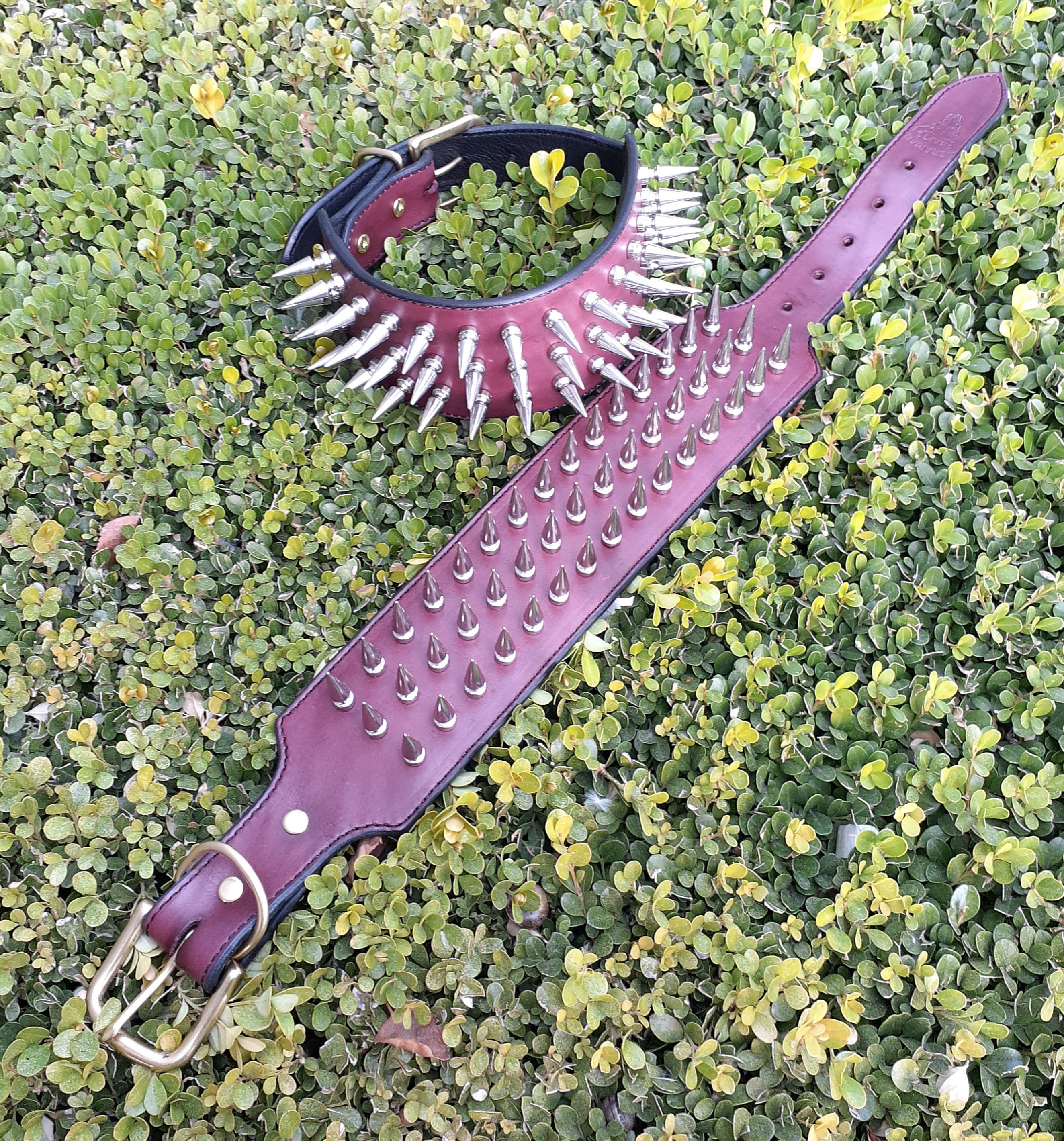 Collar de perro de cuero personalizado con tres filas de púas - Etsy México