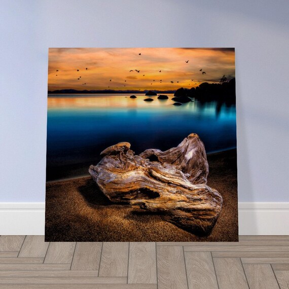 Sunset Driftwood at Lake Tahoe Aluminum Print