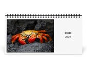 Crabs 2027 Desk Calendar 