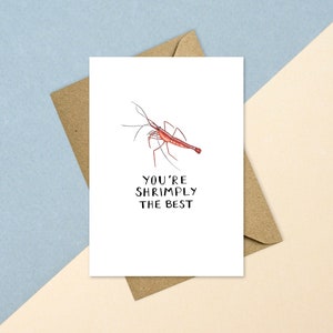 Shrimp Greeting Card | Eco Friendly Recycled Paper | Birthday Valentines Day Anniversary