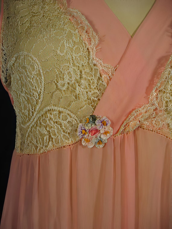 1920s Nightgown Silk Chiffon and Lace - image 3