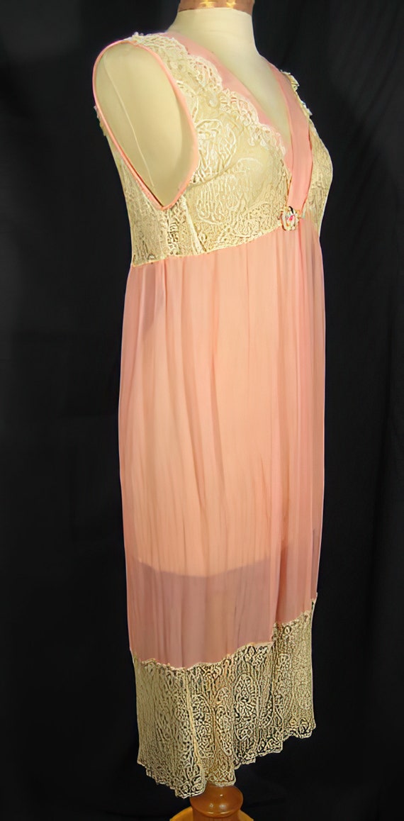 1920s Nightgown Silk Chiffon and Lace - image 5